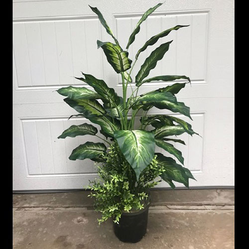 Marble Dieffenbachia One-Of-A-Kind - Artificial Trees & Floor Plants - artificial floor plants for rent